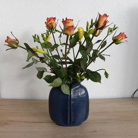 Alte B3 Lägenhet Ringsheim