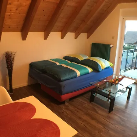 Apartment Alte B3 Ringsheim