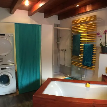 公寓 Alte B3 灵斯海姆