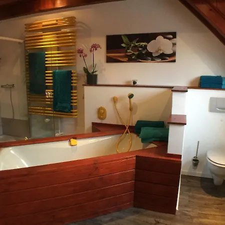 Alte B3 Apartmán Ringsheim