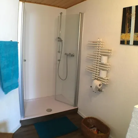 Apartment Alte B3 Ringsheim