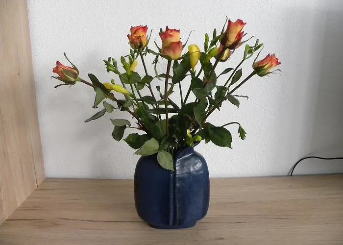 Alte B3 アパート リングスハイム