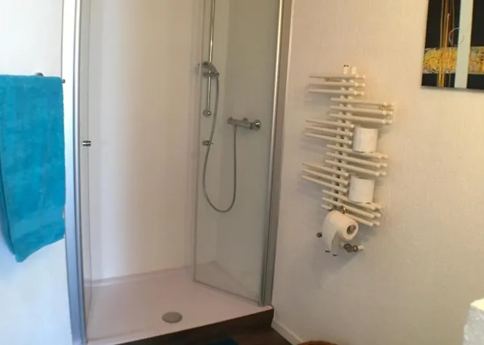 アパート Alte B3 リングスハイム